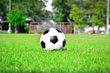 Fototapeta na wymiar football on the grass field