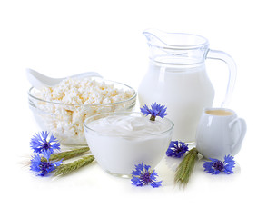 Dairy Products. Milk, cream, sour cream and cottage cheese