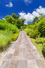 Obraz premium Roadside view of a beautiful park with blue sky background