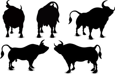 Bull Silhouette