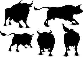 Bull Silhouette