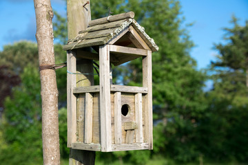 Maison à oiseaux