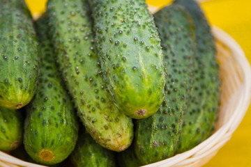 Cucumbers
