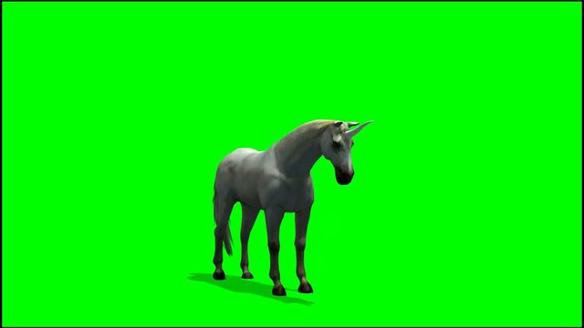 Unicorn graze  - green screen
