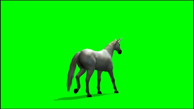 Unicorn walks  - green screen