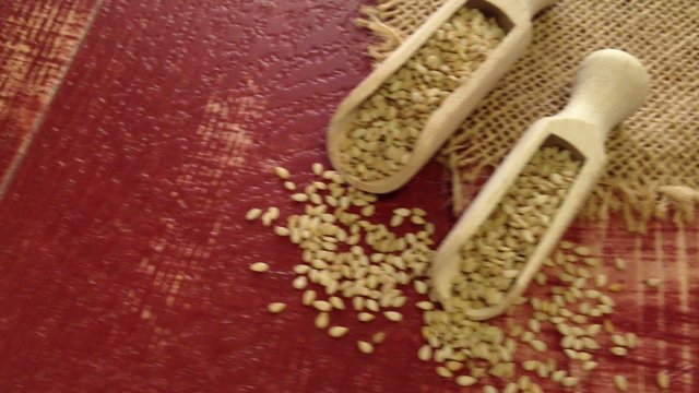 Background and scoop of sesame seeds on wooden surface
