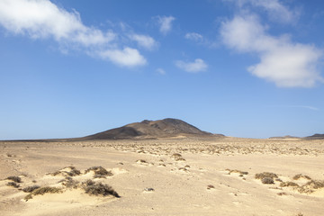 Fototapeta na wymiar sand desert in fuerteventura, spain