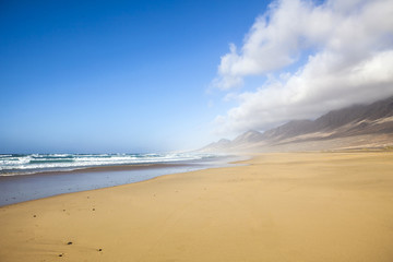 wild sandy beach in fuerteventura, canary island