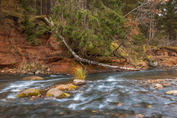 River in autumn. - 65572935