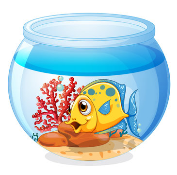 A Jar With A Fish