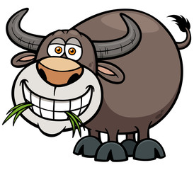 Vector illustration of Cartoon Buffalo