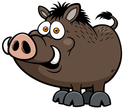 17 423 Best Wild Boar Vector Images Stock Photos Vectors Adobe Stock 17 423 Best Wild Boar Vector Images Stock Photos Vectors Adobe Stock