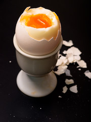 Eggcup