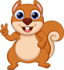 Cute squirrel cartoon