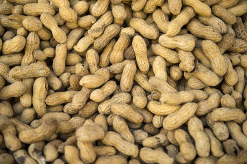 Peanuts