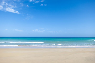 Fototapeta na wymiar tropical sand beach, beautiful ocean