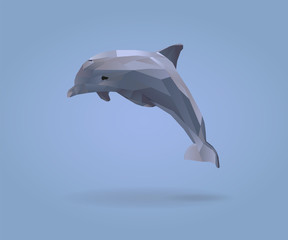 Dolphin © froggster