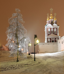 Birch near Novodevichy Convent after freezing rain