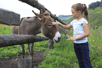 Little girl tenderly stroking a donkey.