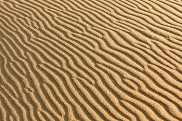 Abstract sand dune background