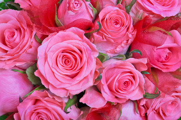 Obraz na płótnie Canvas light pink roses background
