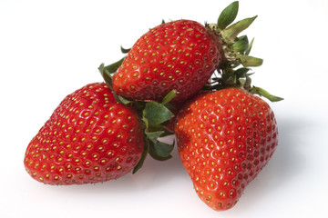 Erdbeere, Fragaria x ananassa, Beerenobst,