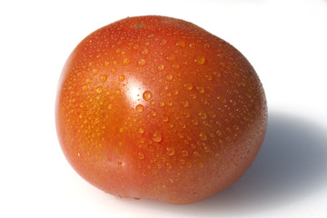 Fleischtomaten, Lycopersicon esculentum