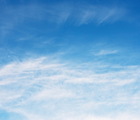 Fototapeta premium Blue sky and white clouds.