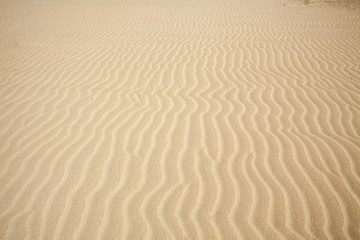 Fototapeta na wymiar desert's sand pattern background