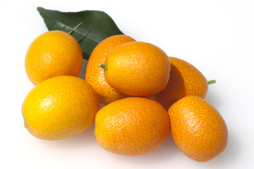 Kumquats; Fortunella; Citrus;