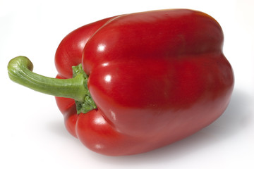 Paprika; Capsicum; annuum;