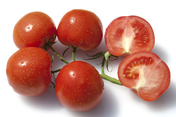 Rispen-Tomaten, Lycopersicon esculentum