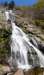Fototapeta na wymiar Todtnauer Wasserfall