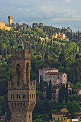 Detail of Vecchio palace tower with Tuscany hills in background