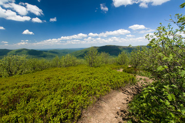 Widok z Małej Rawki, na Poloninę Caryńską © Piotr Szpakowski