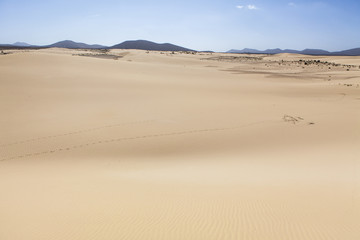 desert dunes