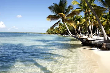 Foto op Plexiglas Dominican beach © kubikactive
