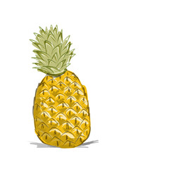Sketch of pineapple for your design