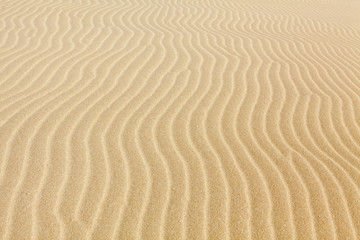 desert's sand pattern background