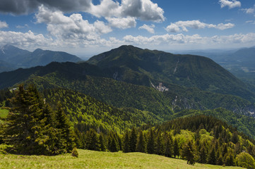 Green mountains covered with forest
