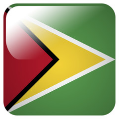 Glossy icon with flag of Guyana