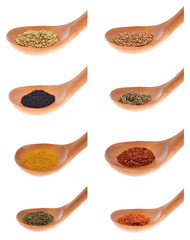 Collection  spices on a wooden spoon. isolated