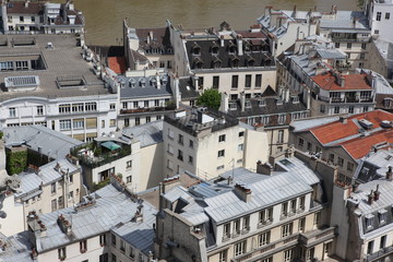 Fototapeta premium View on Paris form Notre Dame cathedral