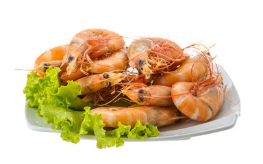 Big tiger shrimps