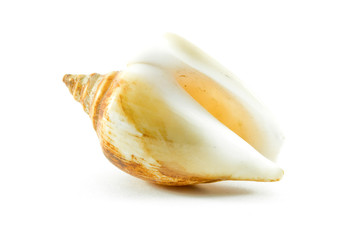 Shell isolated