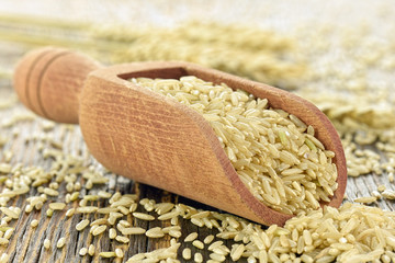 Brązowy ryż © CUKMEN