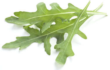 Arugula  herb.