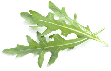 Arugula  herb.