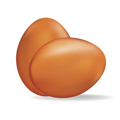 Realistic illustration of two eggs on white background