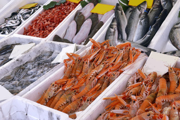 showcase of seafood